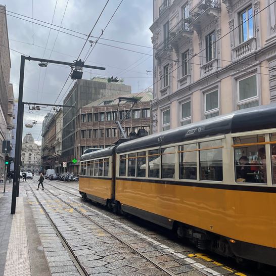 IMG_4717.jpeg IMG_4717.jpeg