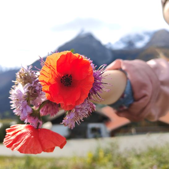 IMG20241013120657.jpg IMG20241013120657.jpg